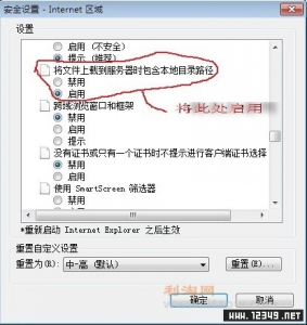 关于IE8无法上传图片的解决方法.jpg