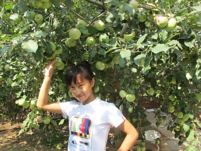 IMG_2939_缩小大小.JPG
