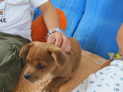 IMG_2973_缩小大小.JPG