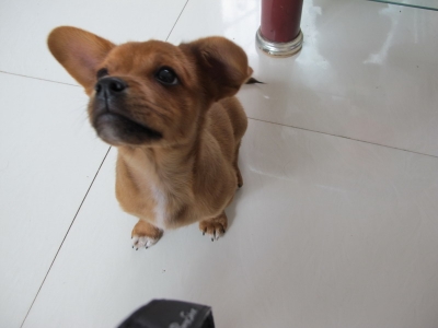 IMG_2995_缩小大小.JPG