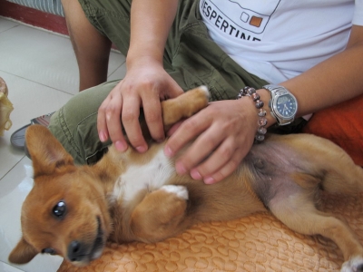 IMG_2976_缩小大小.JPG