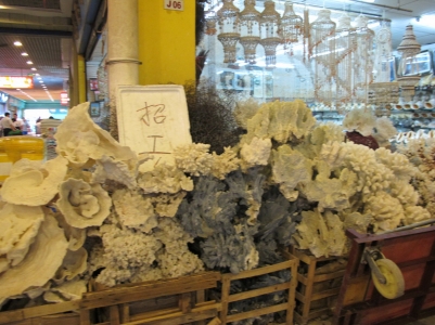 IMG_3274_缩小大小.JPG