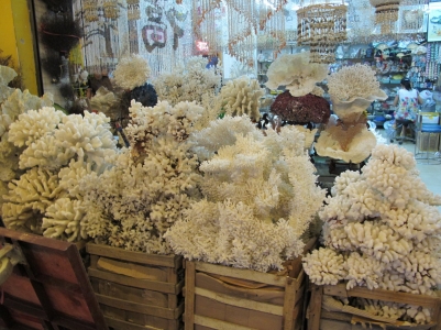IMG_3275_缩小大小.JPG