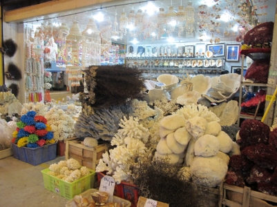 IMG_3280_缩小大小.JPG