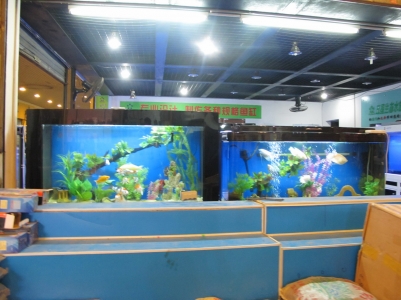 IMG_3286_缩小大小.JPG