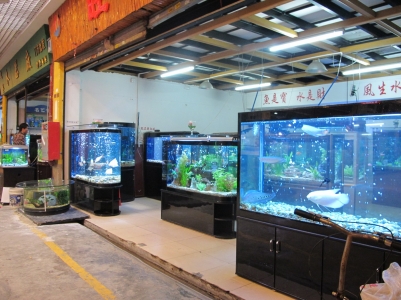 IMG_3287_缩小大小.JPG