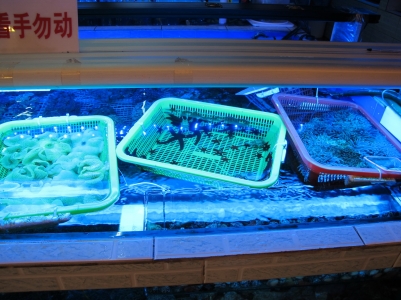 IMG_3289_缩小大小.JPG