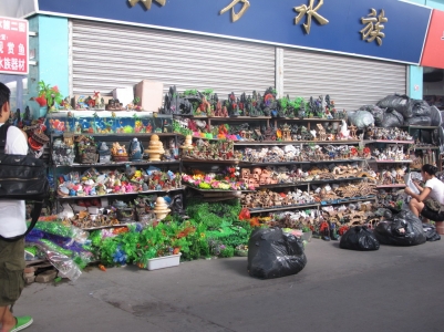 IMG_3300_缩小大小.JPG