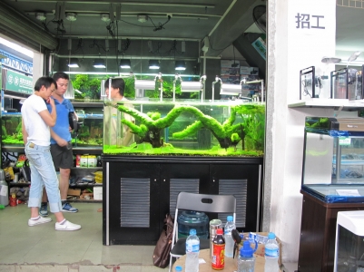 IMG_3298_缩小大小.JPG