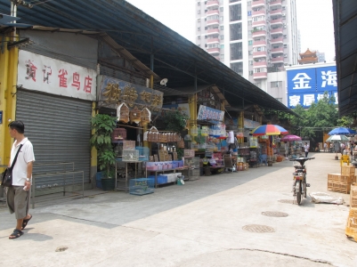IMG_3307_缩小大小.JPG