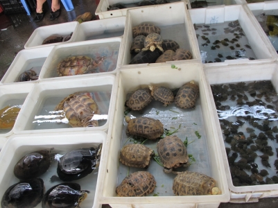 IMG_3222_缩小大小.JPG