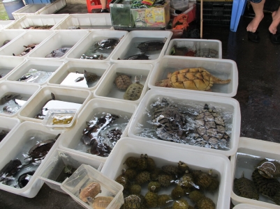 IMG_3223_缩小大小.JPG