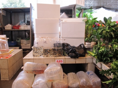 IMG_3242_缩小大小.JPG
