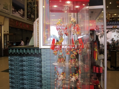 IMG_3267_缩小大小.JPG