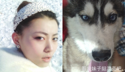 哈士奇.jpg