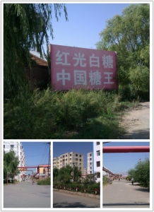 拼图2012_08_31_06_44_03.jpg